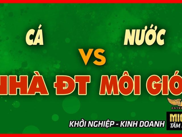 Tại Sao Môi Giới Và Nhà Đầu Tư: Cá Với Nước?