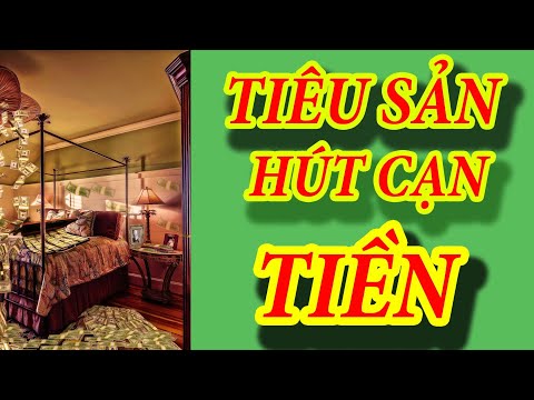 TIÊU SẢN- VẮT KIỆT SỨC LAO ĐỘNG, HÚT CẠN TIỀN CỦA BẠN